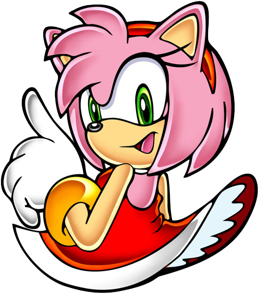 The Character Theme Of Amy Rose, Detailing Who She - Amy Rose (550x600), Png Download