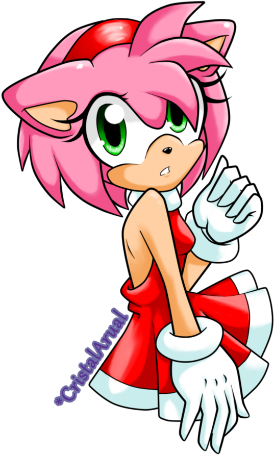 Blaze The Cat Amy Rose - Amy Rose (774x1032), Png Download