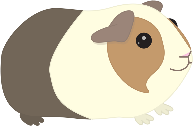 Clipart Library Stock Clipart Guinea Pigs - Guinea Pig Transparent Background (800x533), Png Download
