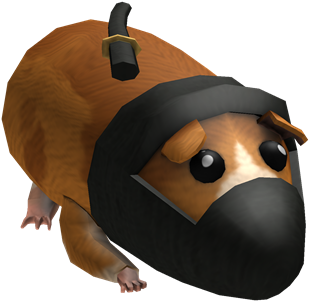 Ninja Guinea Pig - Roblox Guinea Pig (420x420), Png Download