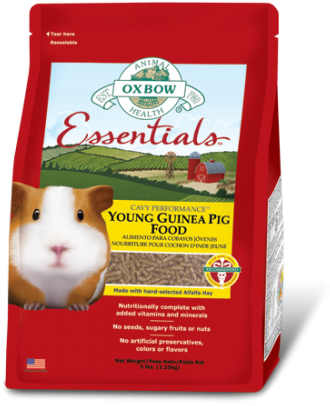 Oxbow Essentials Young Guinea Pig Food - Oxbow Cavy Performance Essentials Young Guinea Pig (401x500), Png Download