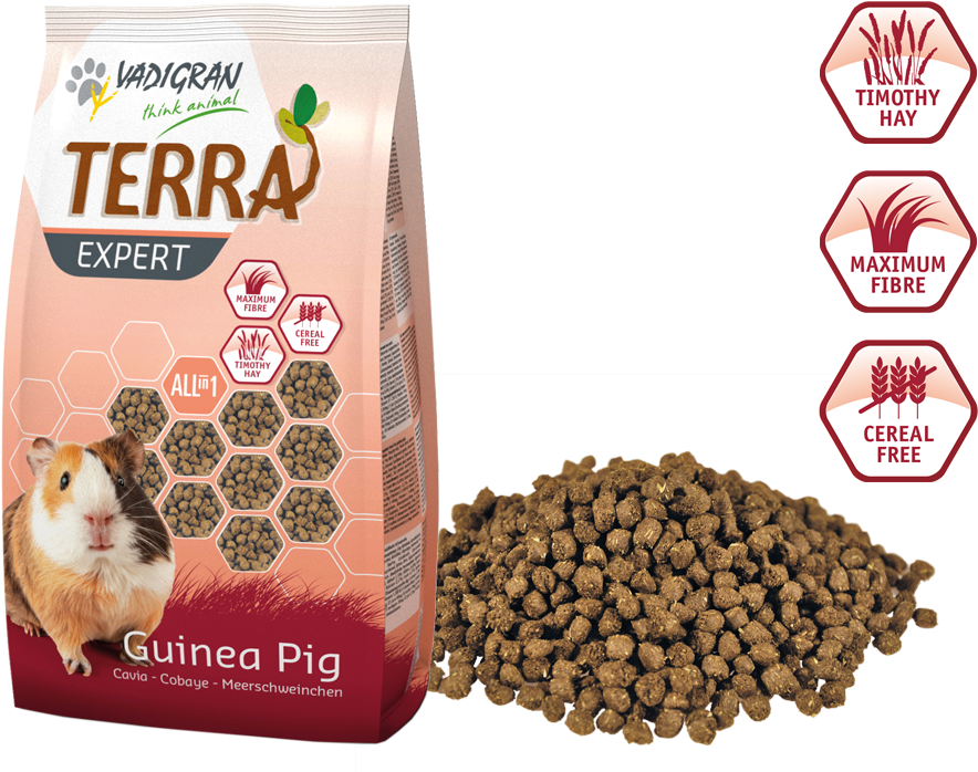 Terra Expert All In One Rabbit (1024x768), Png Download