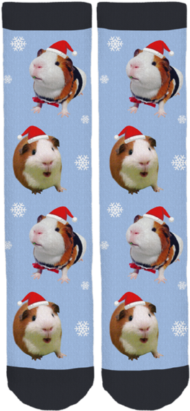 Bruce The Guinea Pig Holiday Socks - Guinea Pig Socks (284x599), Png Download