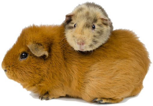 Placeholder - Daredevil (600x413), Png Download