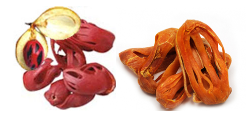 Mace - Spices Of India (520x350), Png Download