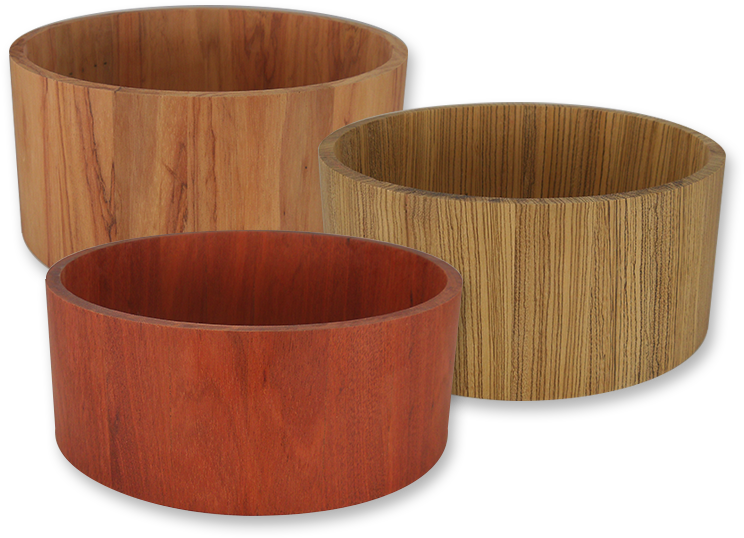 Shells In Stock - Portable Network Graphics (800x600), Png Download