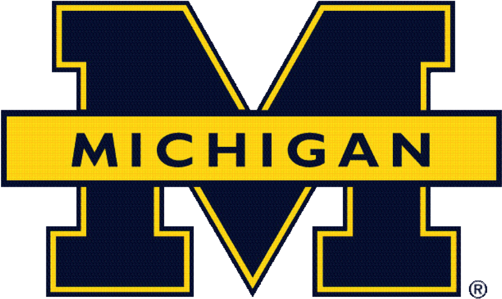 Alyssa Skulborstad - Michigan Wolverines (1022x608), Png Download