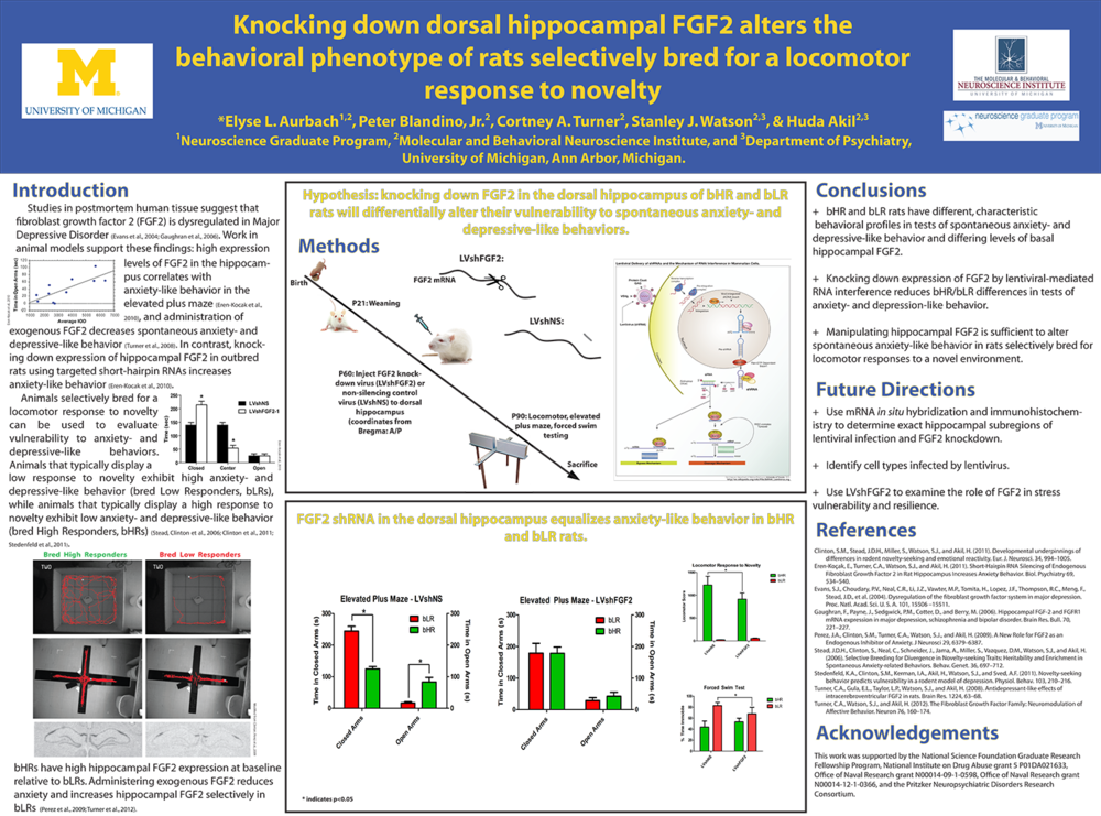 Eaurbach Wiscemo2013 Final - Portable Network Graphics (1000x741), Png Download