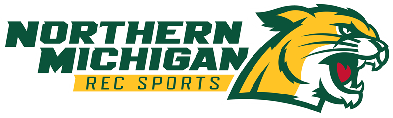 Description - Northern Michigan University Hockey Logo (800x241), Png Download