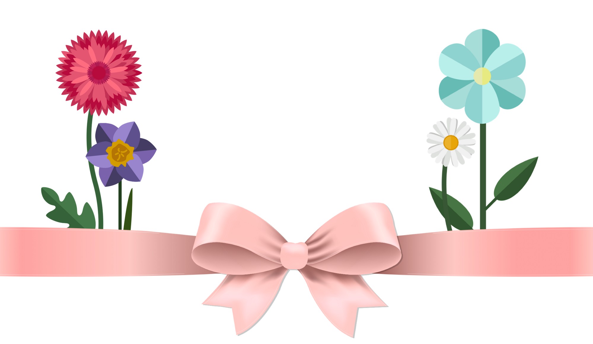 African Daisy (2000x1162), Png Download