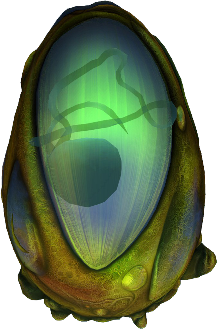 Eggs - Egg (1920x1080), Png Download