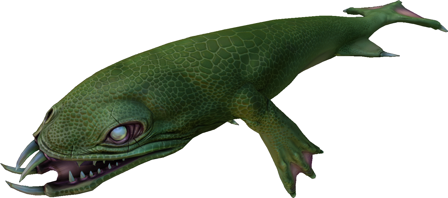 Aggressive - Microlophus Albemarlensis (1920x1080), Png Download