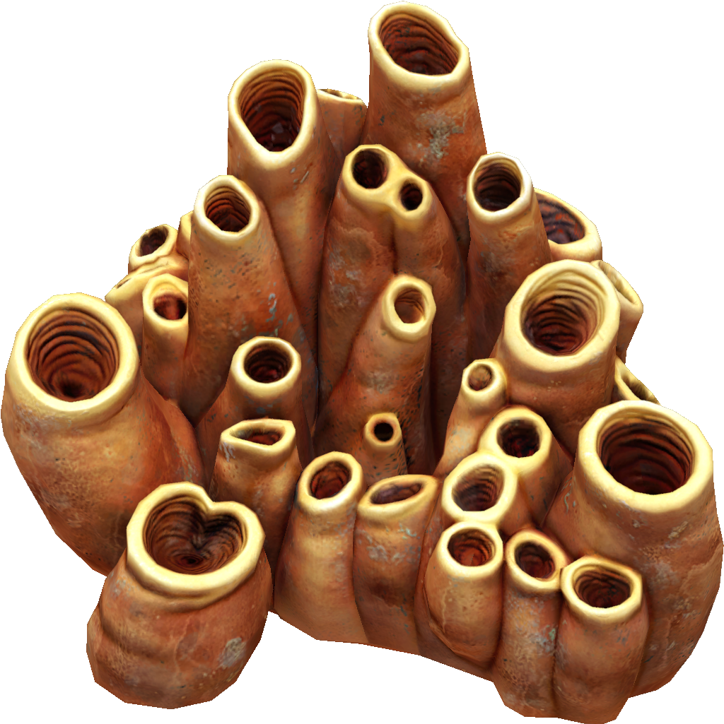 Earthen Coral Tubes - Coral (1080x1080), Png Download