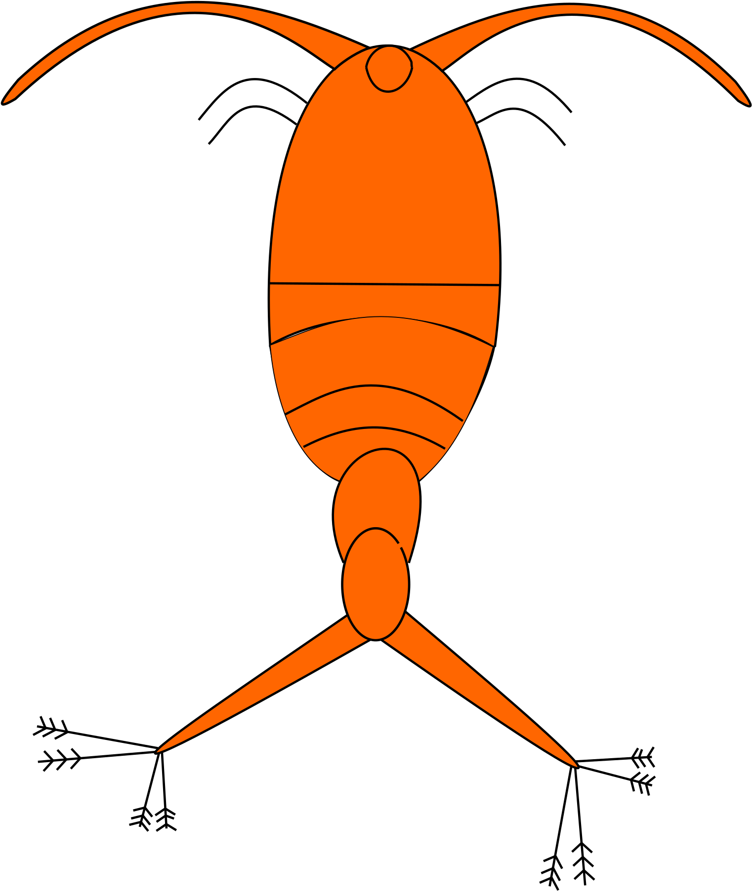 This Free Icons Png Design Of Copepod Plankton (1697x2400), Png Download