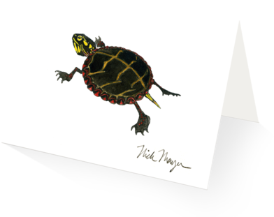 Painted Turtle (480x387), Png Download