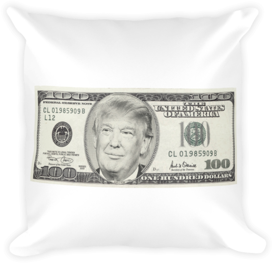 President Donald Trump 100 Dollar Bill Square Pillow - Happy Belated Birthday For A Guy (600x600), Png Download