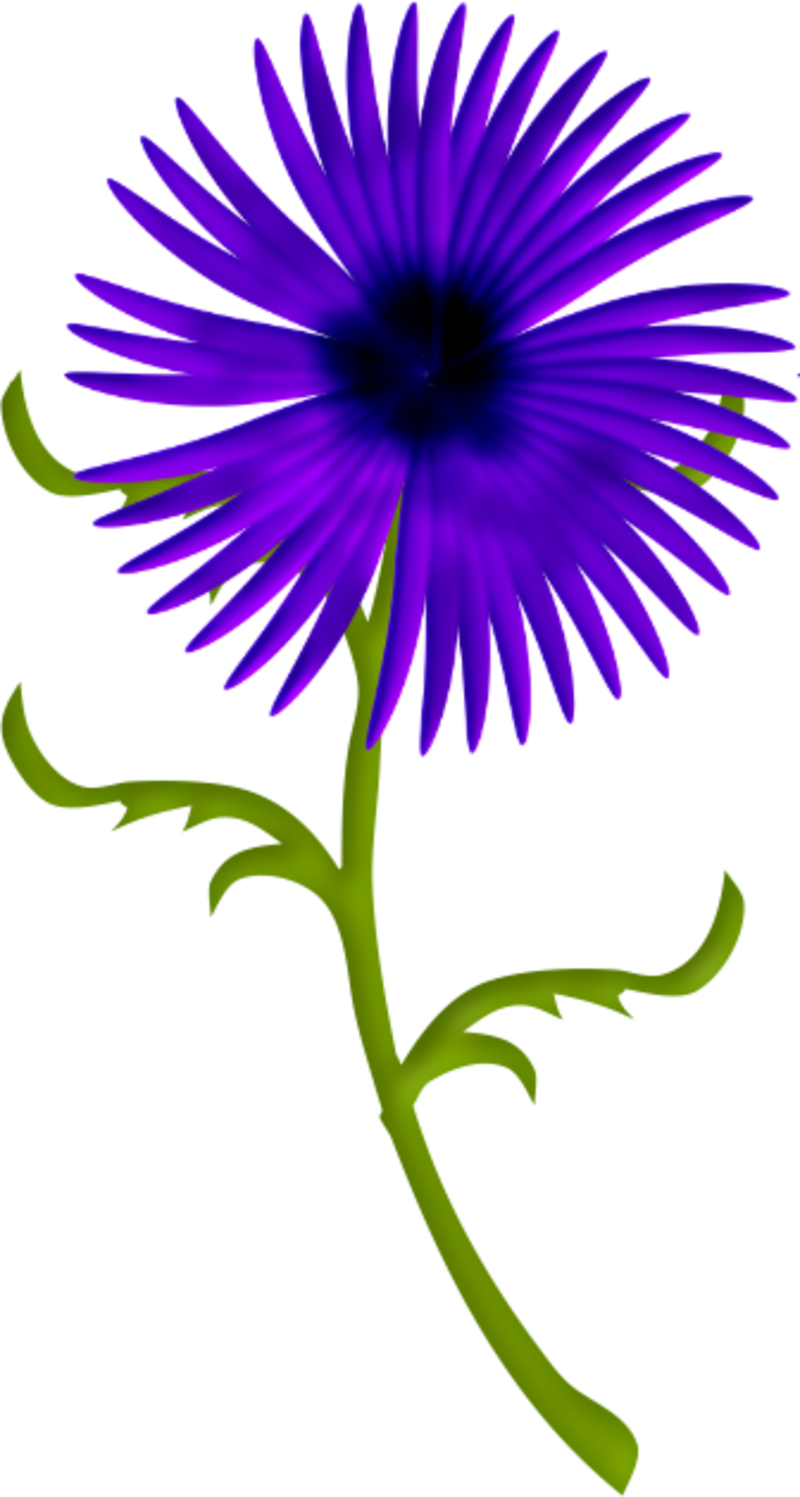 Tubes Fleurs - Page - Portable Network Graphics (800x1497), Png Download