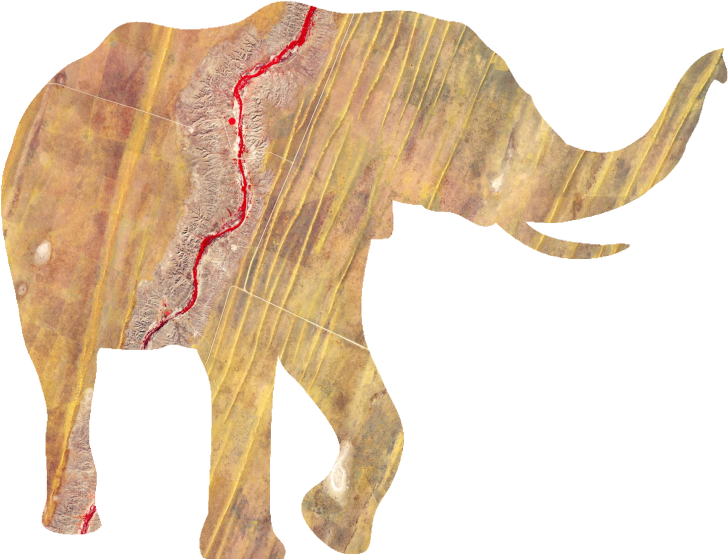 Remote Sensing For Biodiversity & Conservation - Quantitative Ecology (800x564), Png Download