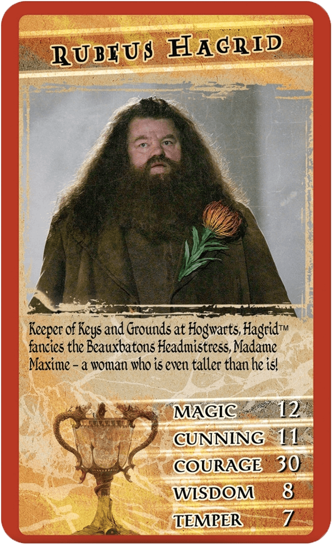 Top Trumps Harry Potter Y El Cáliz De Fuego - Top Trumps - Harry Potter & The Goblet (1100x1100), Png Download