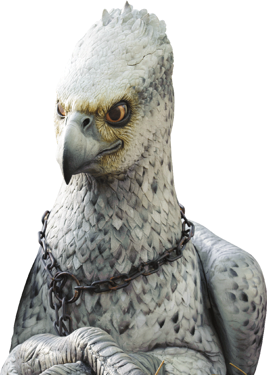 Harry, Ron, And Hermione First Learn Of Hippogriffs - Personality Quiz (1114x1254), Png Download