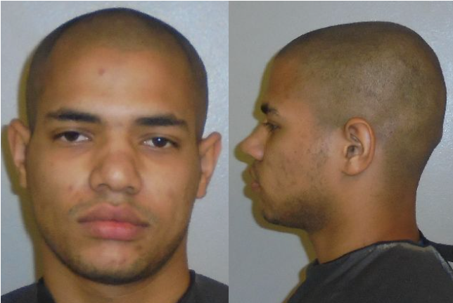 Palm Coast Man Sentenced To 15 Years In Prison In Statutory - Flagler County Sheriff's Office (870x580), Png Download