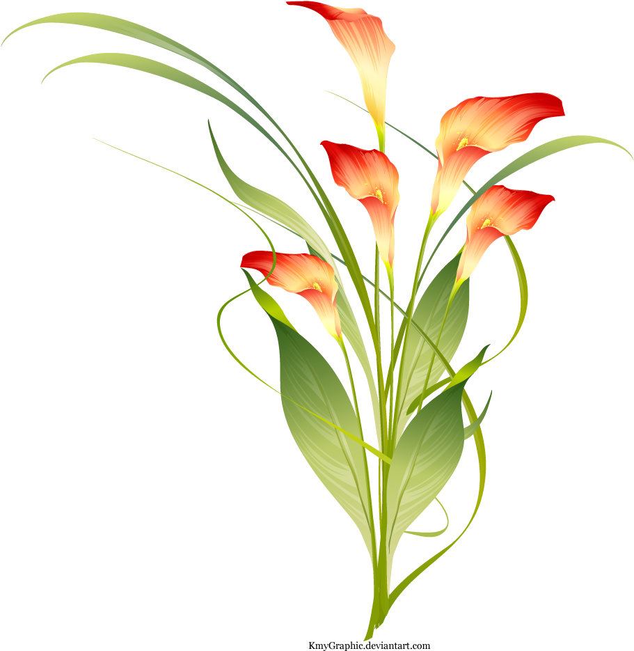 Clip Art Transparent By Kmygraphic On Deviantart - Flowers In Png Format (895x893), Png Download
