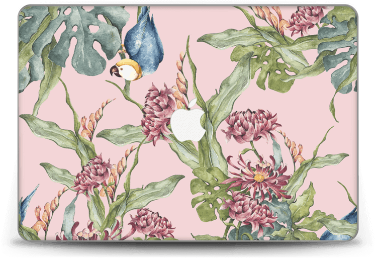 Nature & Parrot - Parrot (800x558), Png Download