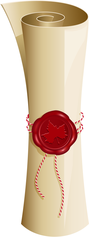 Rolled Diploma Png Clipart Image - Transparent Background Diploma Clipart (264x600), Png Download