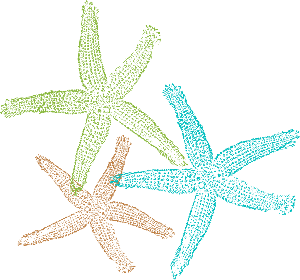 Free Download Of - Transparent Background Starfish Clipart (600x559), Png Download