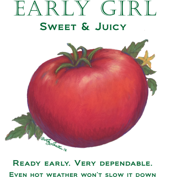 Hello Again - - Plum Tomato (700x933), Png Download