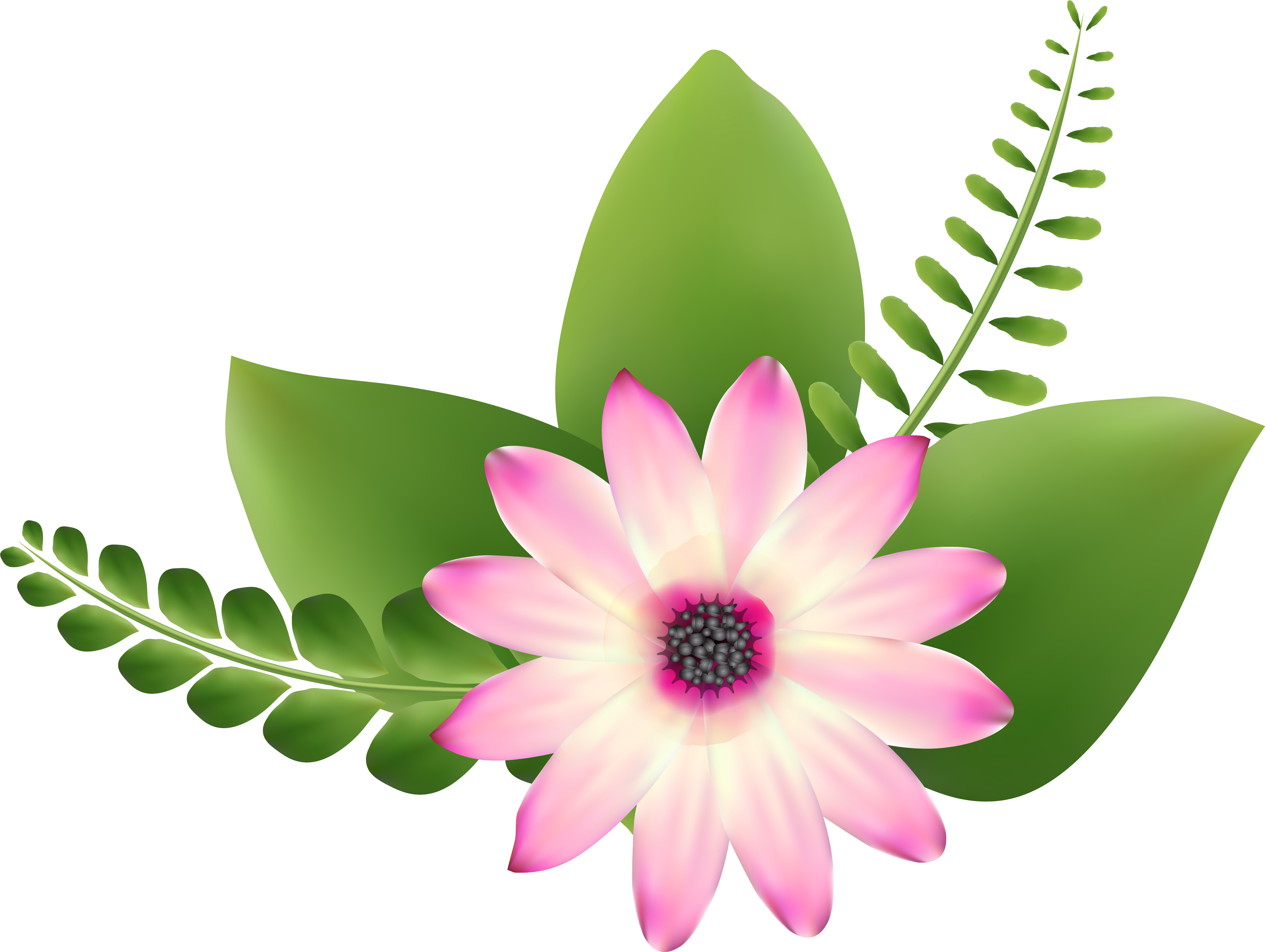 0, - Clipart Transparent Png Flowers (600x458), Png Download
