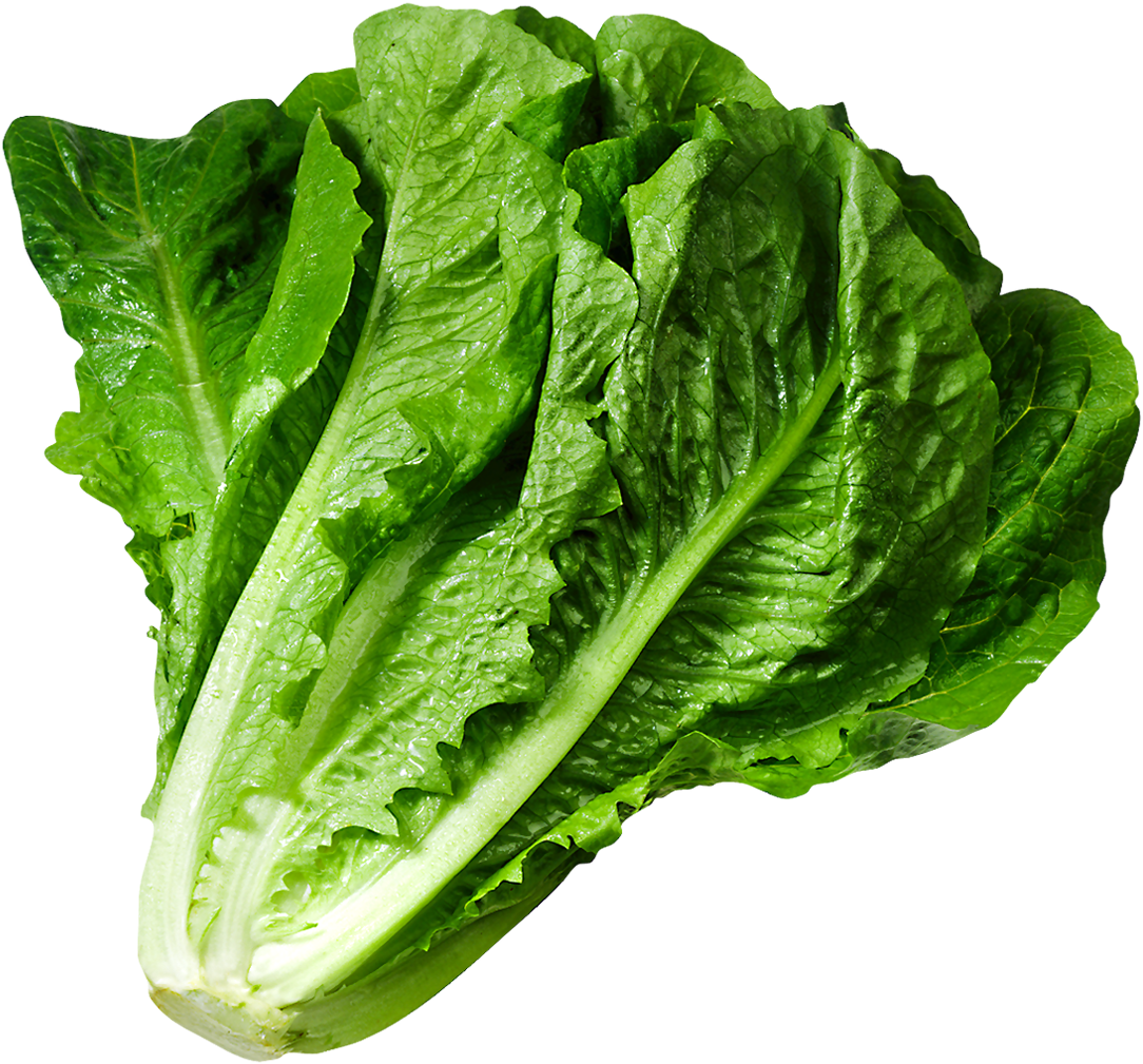 Fruits And Vegetables Images, Mixed Fruit, Lettuce, - Romaine Lettuce Seeds - 'parris Island Cos'- 250 Seeds (600x567), Png Download