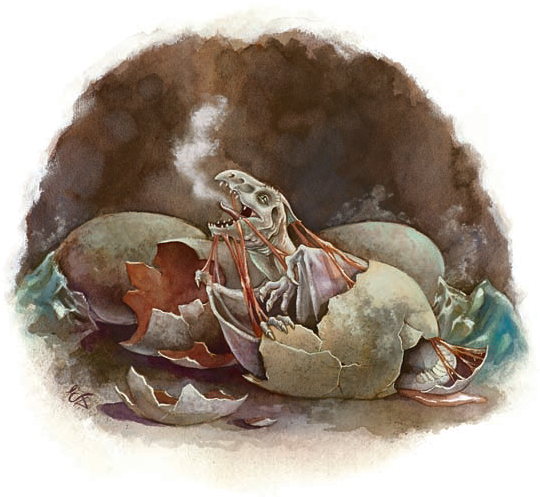 Hatching White - D&d Silver Dragon Wyrmling (585x541), Png Download