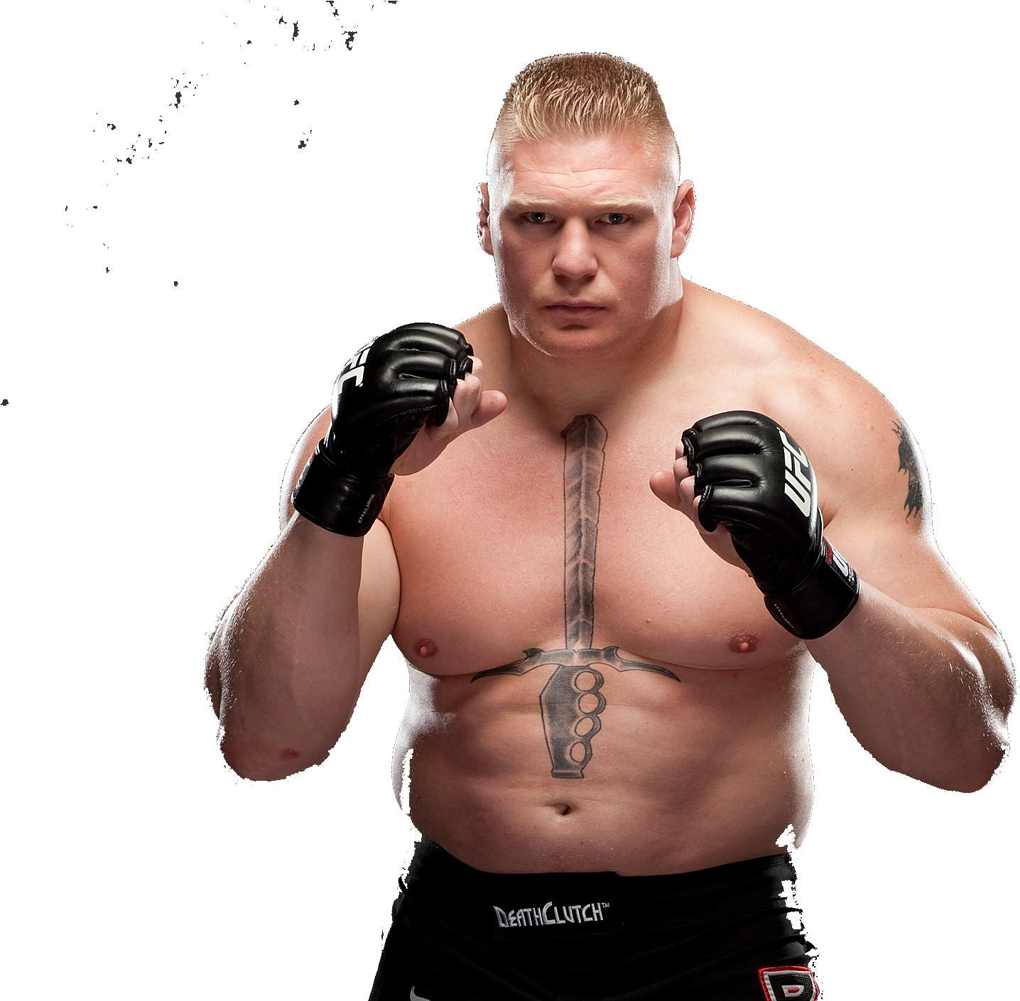 Brock Lesnar Png Photos - Brok Lesnar Png Hd (1024x862), Png Download