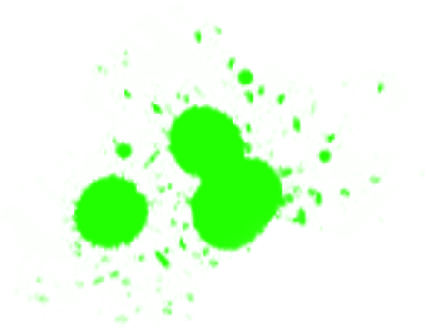 Holi Png (641x528), Png Download