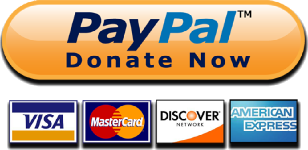 Paypal Donate Button Png (500x285), Png Download