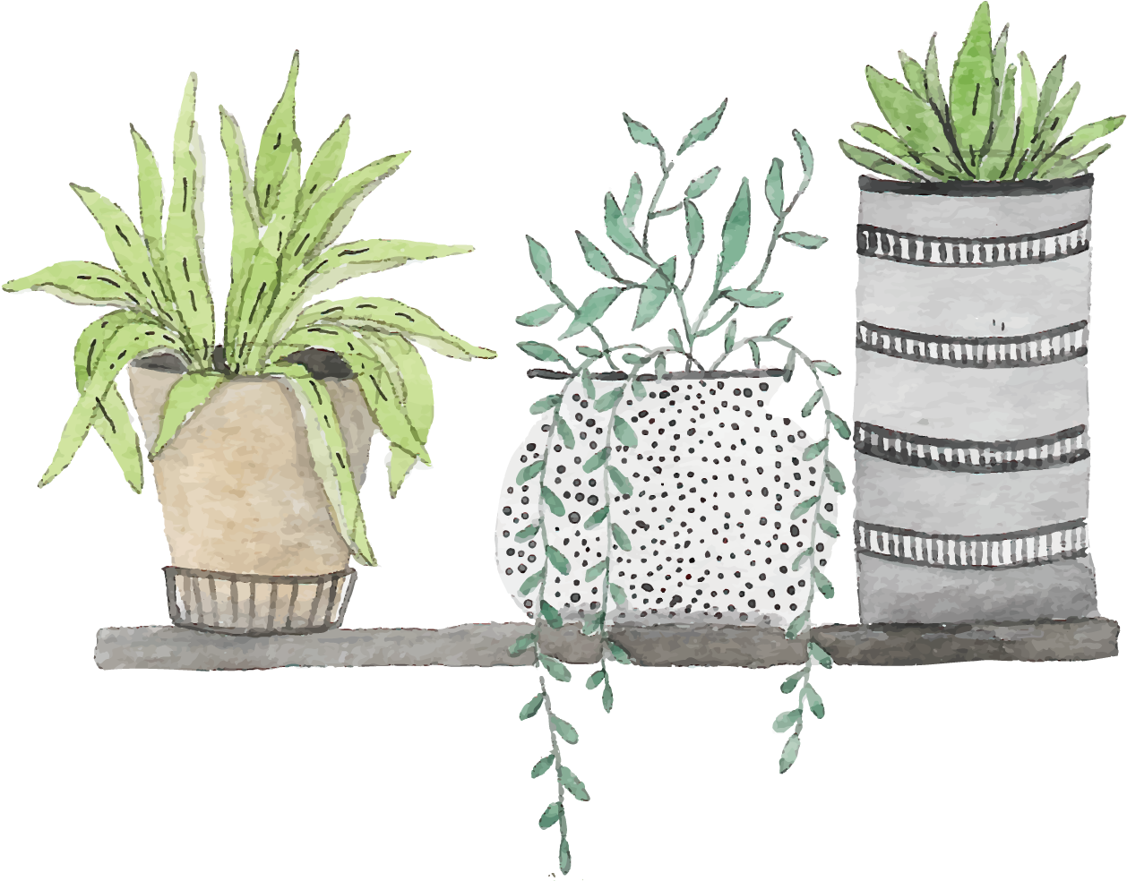 Clip Free Stock Bonsai Drawing Watercolor - Green Plant Drwaing Png (1500x1029), Png Download