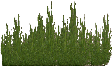 Nice Weed Background Image Seaweed 2 Cat Juicy Zt2 - Seaweed Png (396x475), Png Download