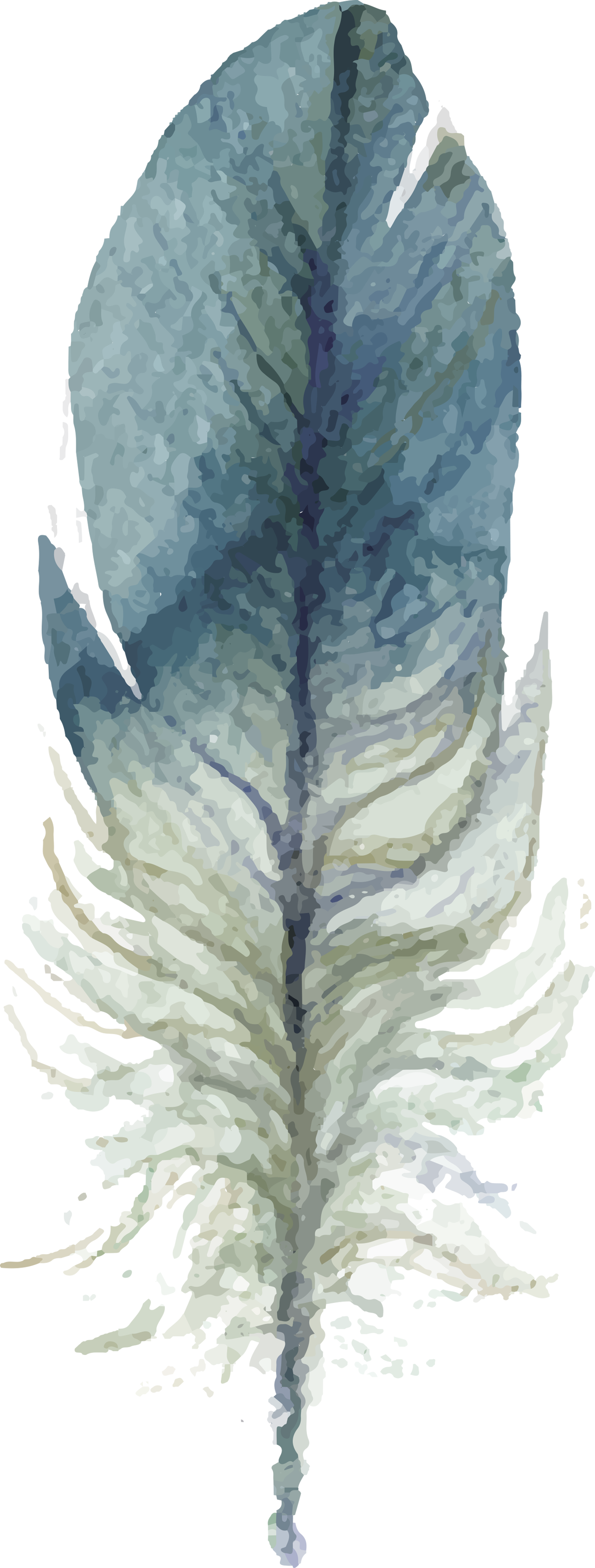 To Download Click The Following - Plume Grise Et Rose Aquarelle (1282x3377), Png Download