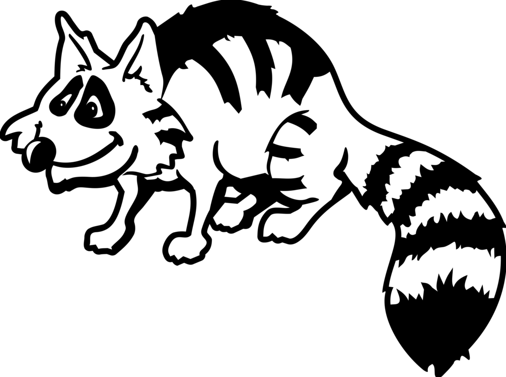 Raccoon Drawing Giant Panda Download - Raccoon Clipart Black And White (1005x750), Png Download