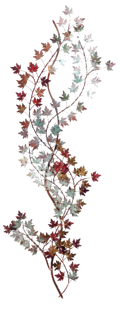 Chocolote Cosmos (248x639), Png Download