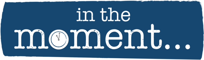 Concerns Over American Health Insurance Policy - Office (800x307), Png Download