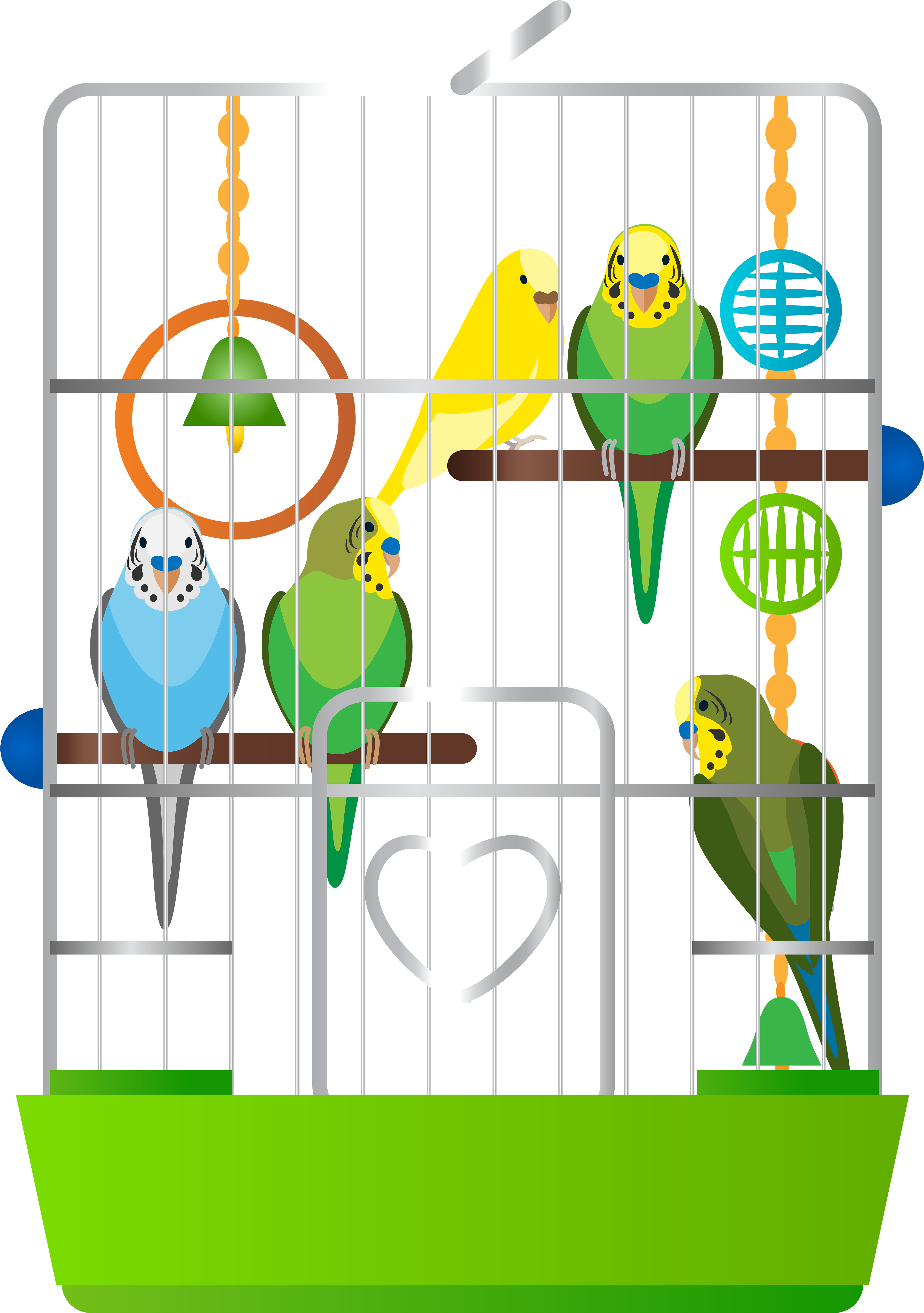 Cage With Parrots Png Clip Art - Parrot In The Cage Clipart (4219x6000), Png Download