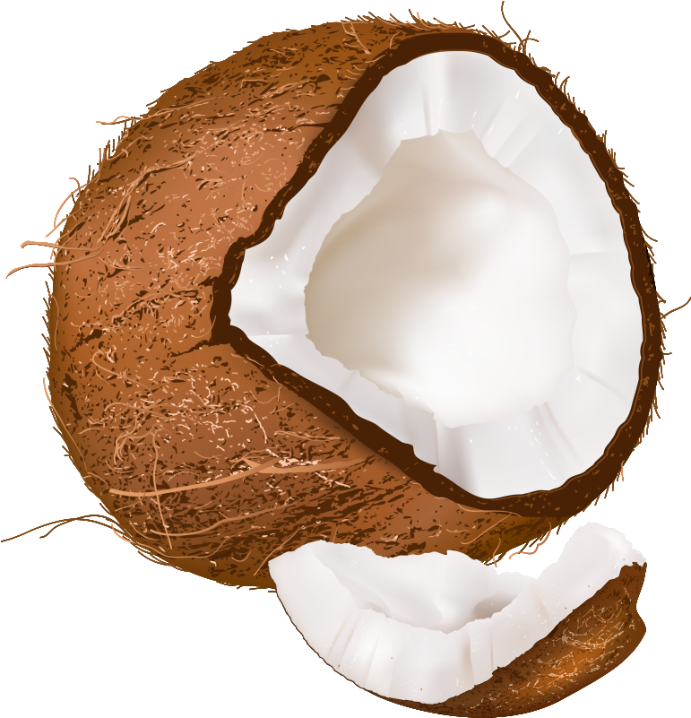 Coconut With No Background (792x824), Png Download