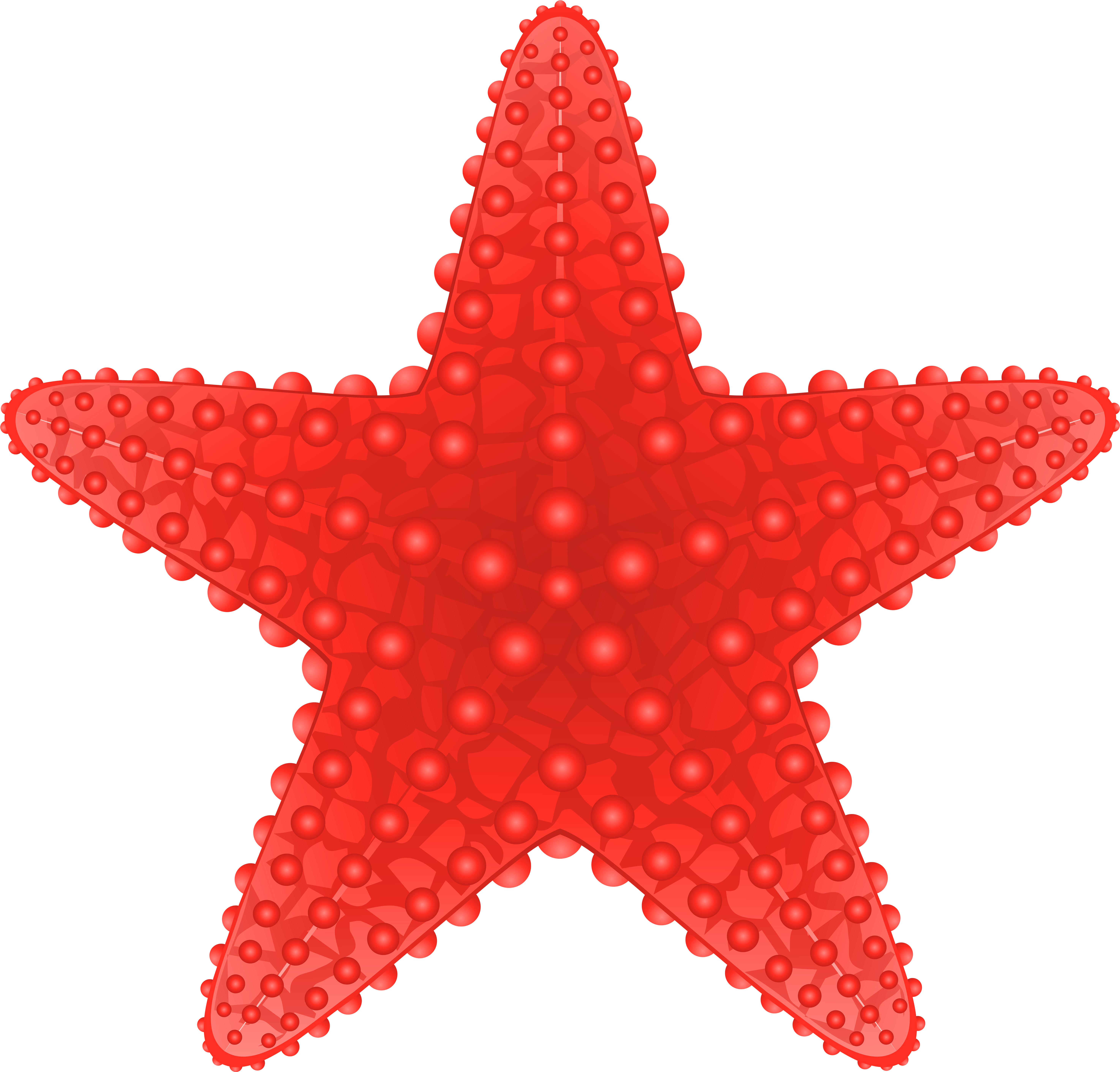 Starfish Cliparts - Starfish Clipart Png (6000x5741), Png Download