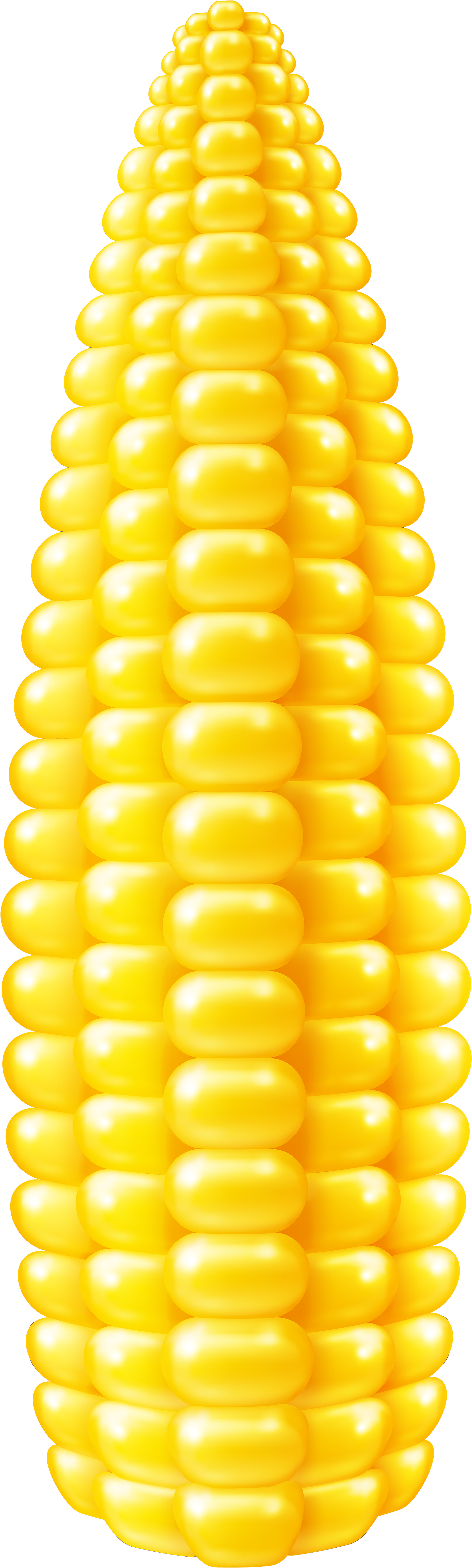 Corn Png (1932x6000), Png Download