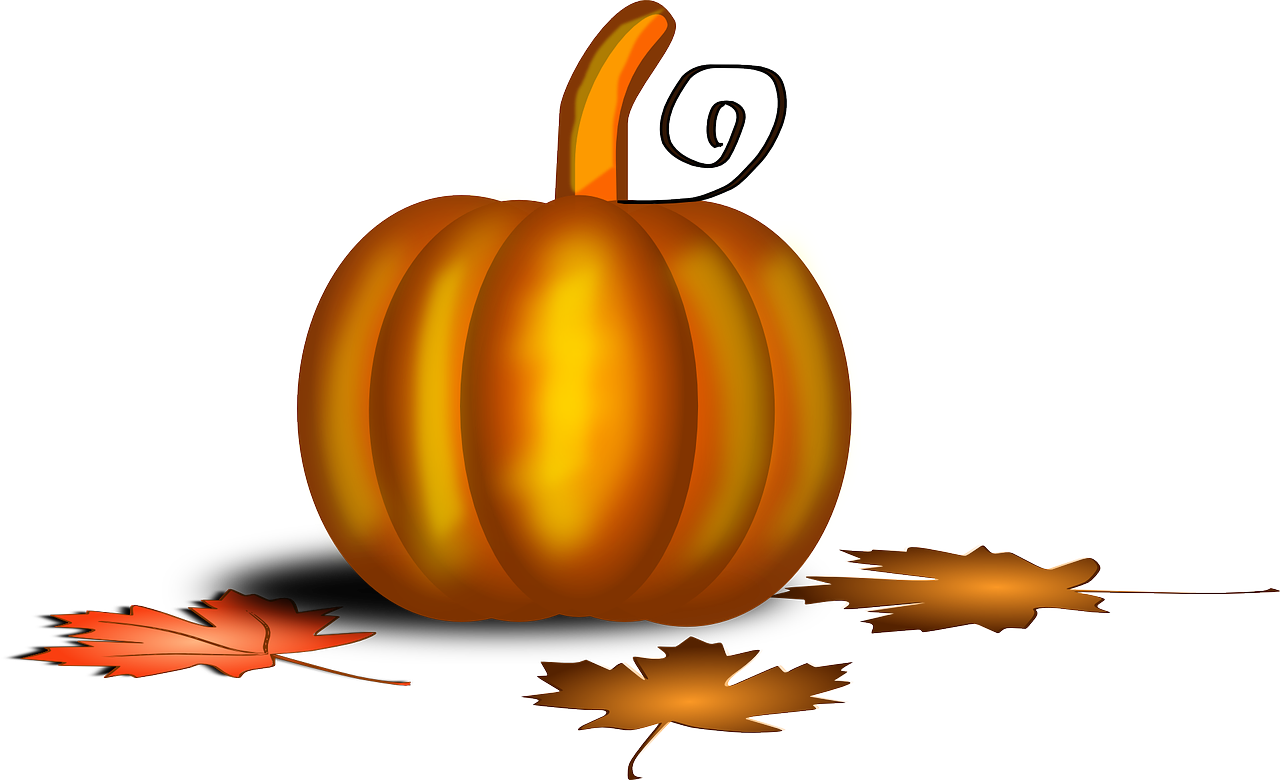 Christmas Starts After Thanksgiving, Dammit - Calabaza Accion De Gracias (1280x780), Png Download