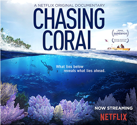 Chasing Coral, A Hymn To The Ocean - Marine Biology (600x400), Png Download