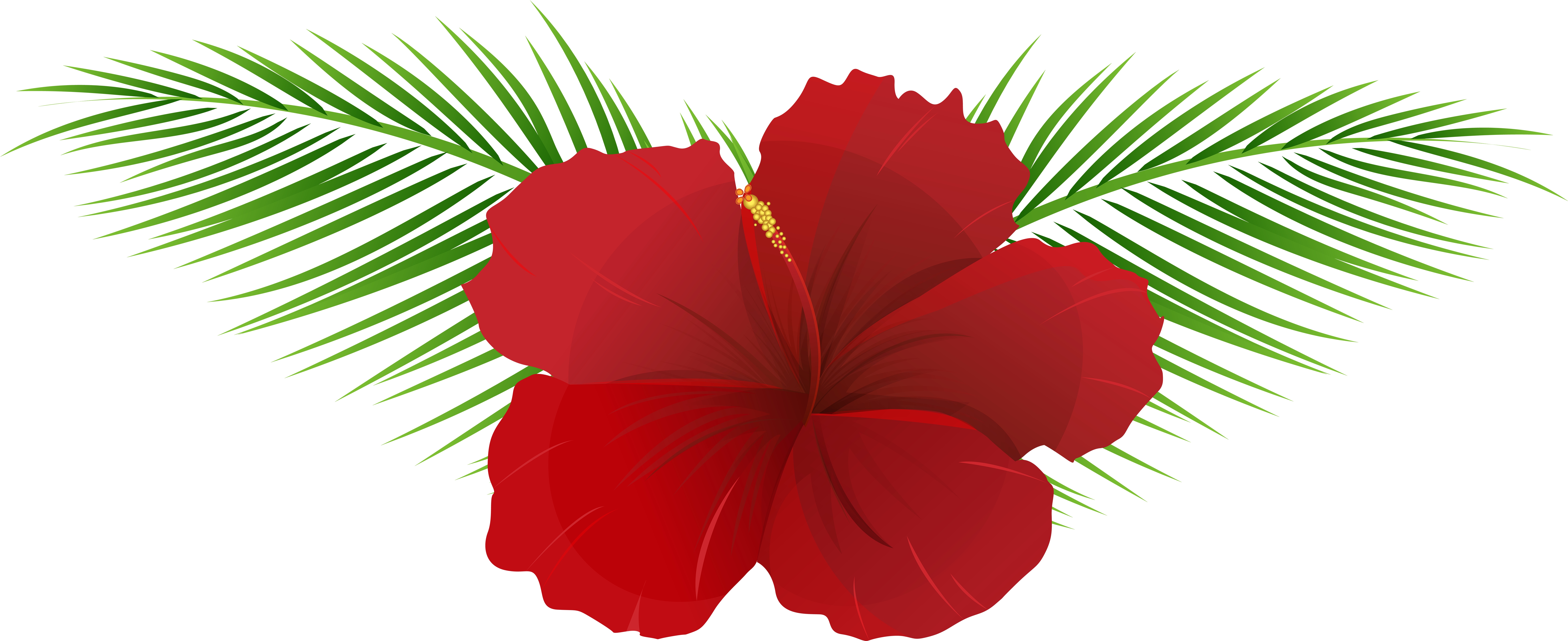 Exotic Flower Transparent Clip Art Imageu200b Gallery - Hawaiian Hibiscus (8000x3360), Png Download