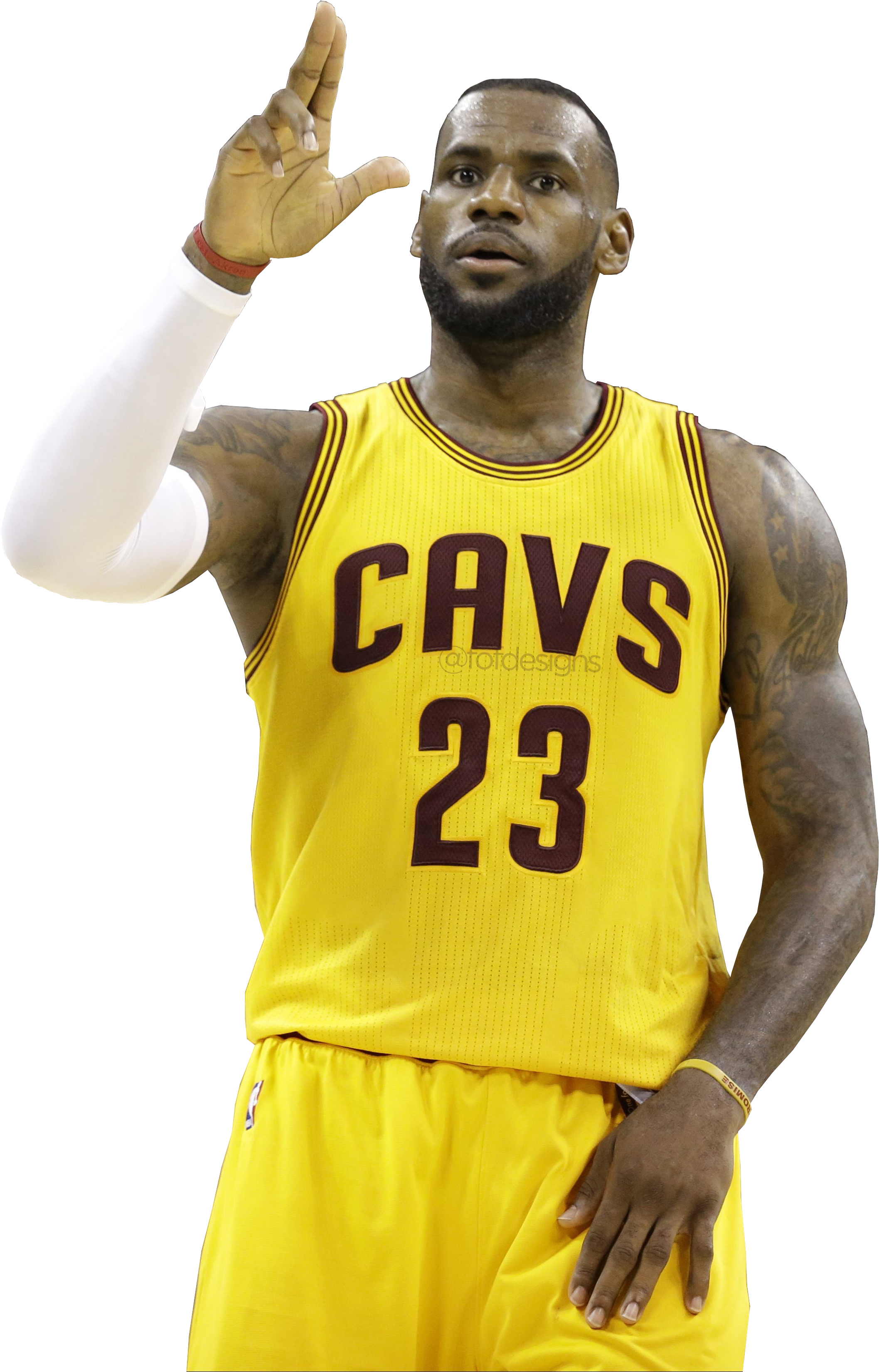Svg Transparent Library James Gun Celebration Png By - Roman Reigns And Lebron James (804x994), Png Download